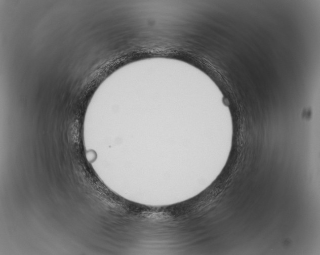 X0000114550689200911301225