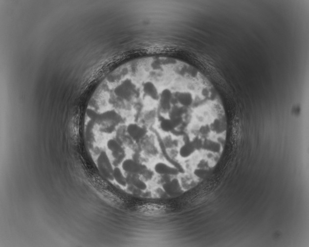 X0000114550691200911301225