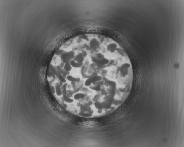 X0000114550695200911301225