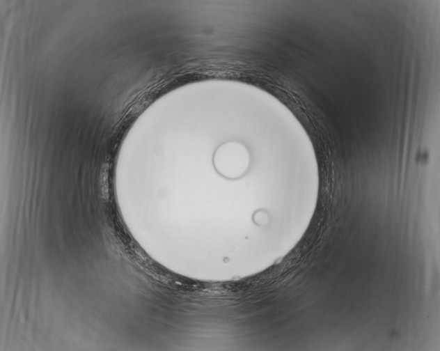 X0000114550696200911301225
