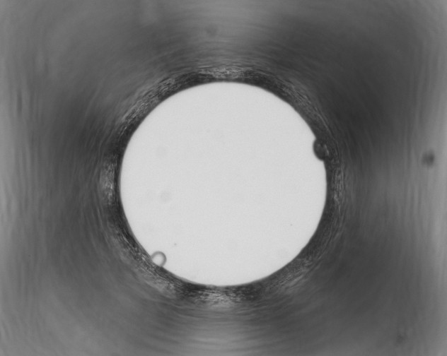 X0000114550697200911301225