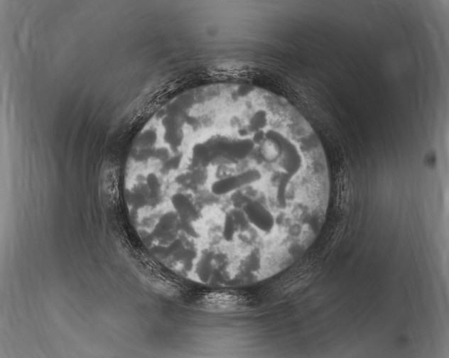 X0000114550699200911301225