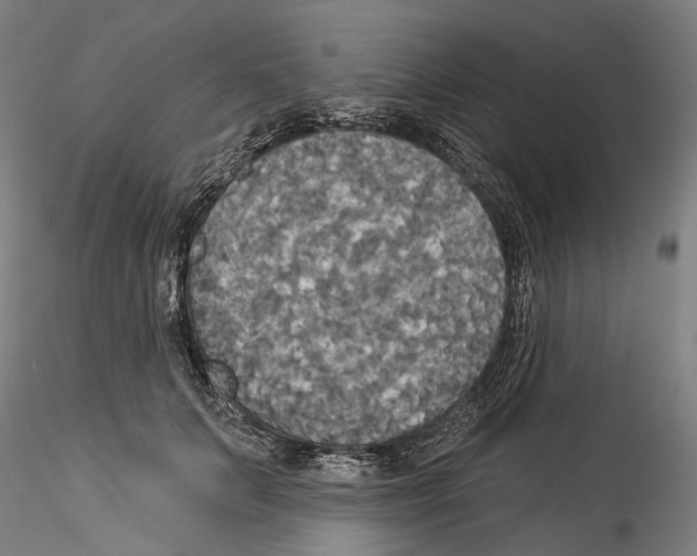 X0000114550703200911301224