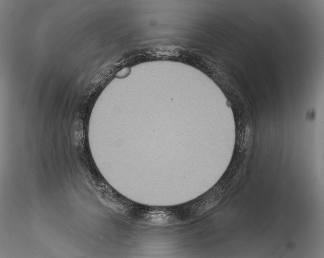X0000114550704200911301224
