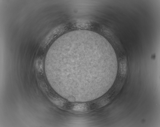 X0000114550705200911301224