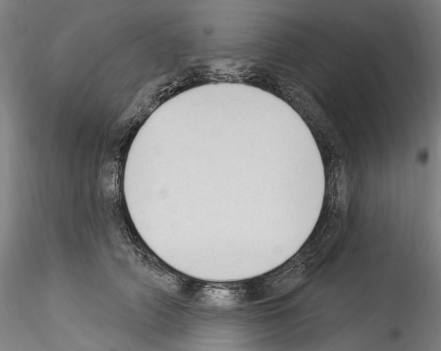 X0000114550706200911301224