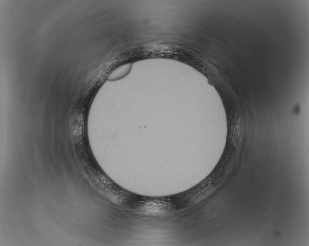 X0000114550708200911301224
