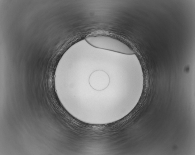 X0000114550709200911301224