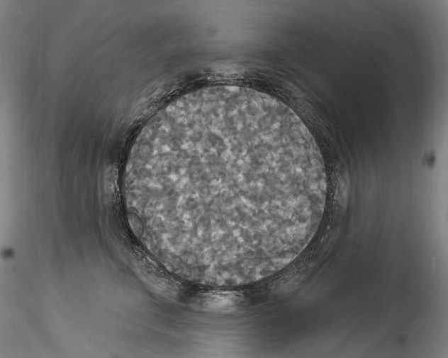 X0000114550711200911301224