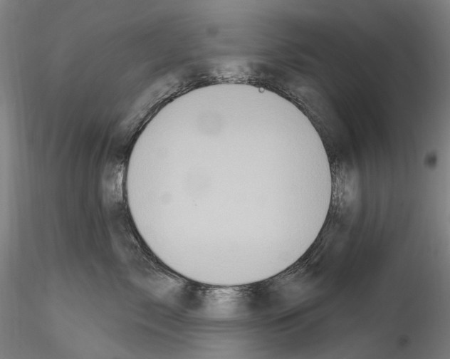 X0000114550717200911301224