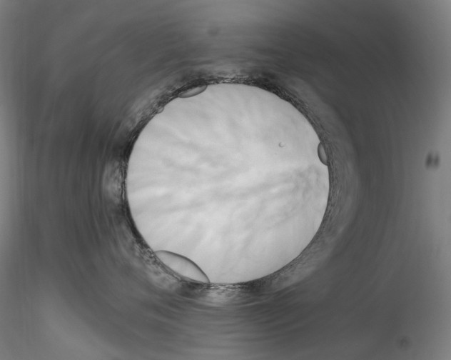 X0000114550720200911301224