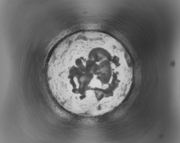 X0000114550721200911301224
