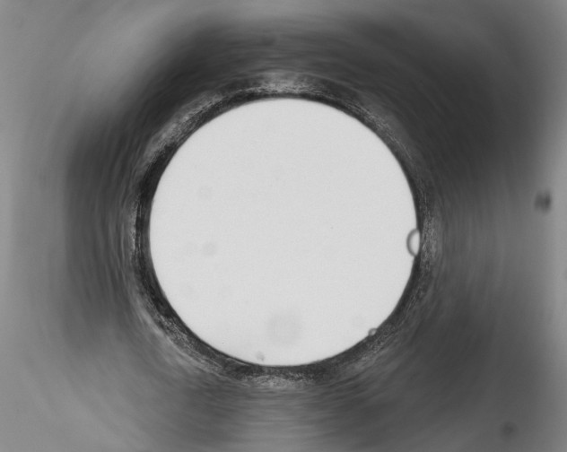 X0000114550722200911301224