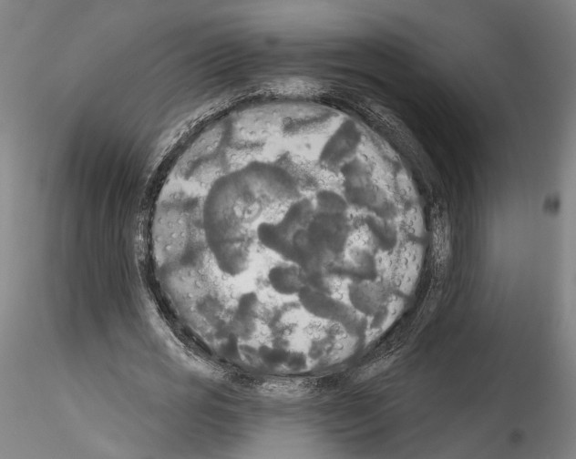 X0000114550725200911301224