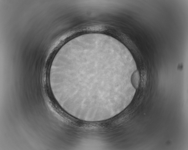 X0000114550726200911301224