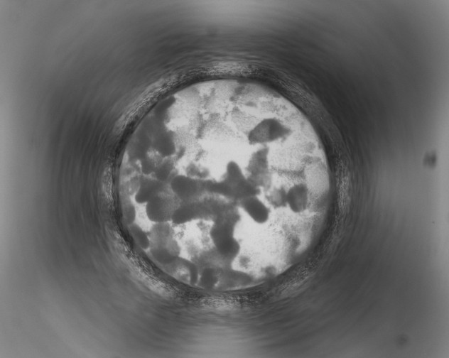 X0000114550729200911301224