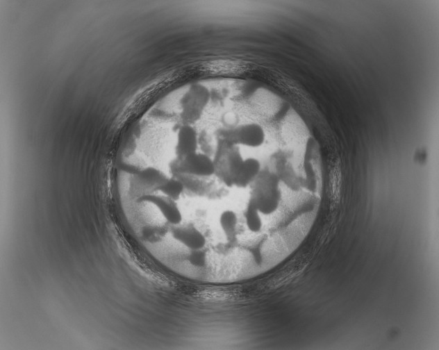 X0000114550733200911301224
