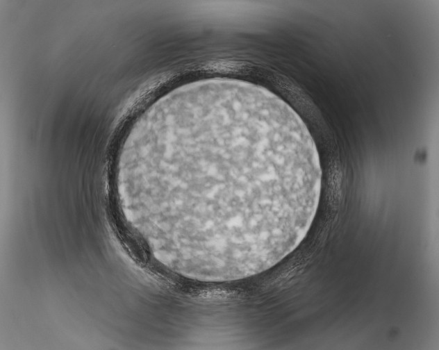 X0000114550734200911301224