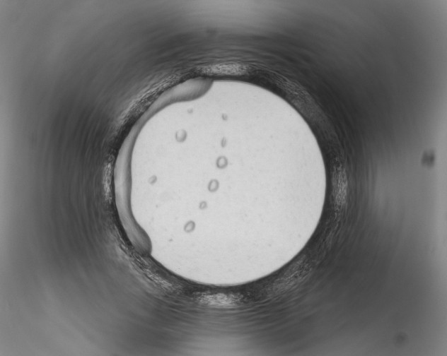 X0000114550735200911301224