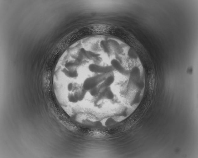 X0000114550737200911301224