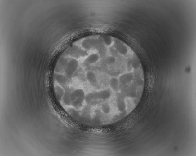 X0000114550738200911301224