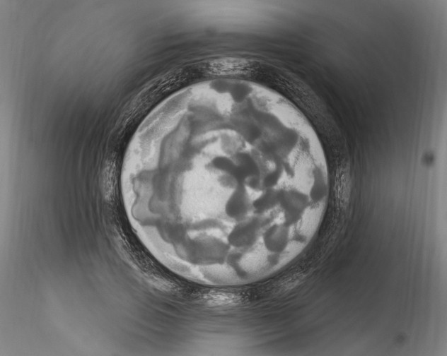 X0000114550741200911301224