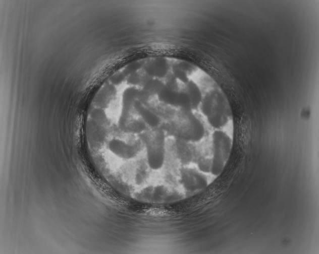 X0000114550742200911301224