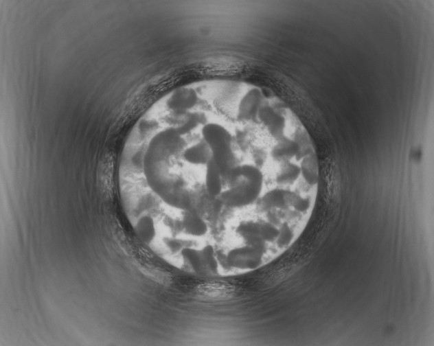 X0000114550745200911301224