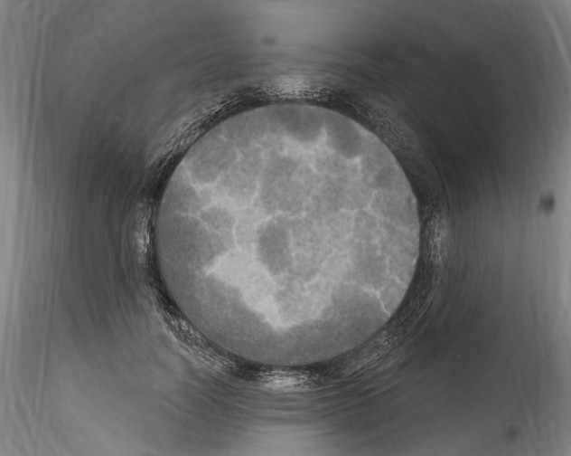 X0000114550746200911301224