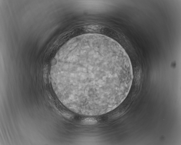 X0000114550749200911301224