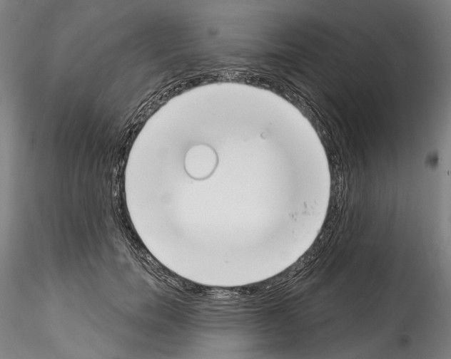 X0000114550750200911301224