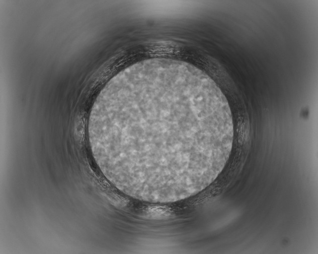 X0000114550753200911301224