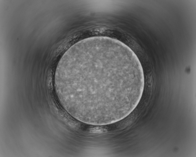 X0000114550754200911301224