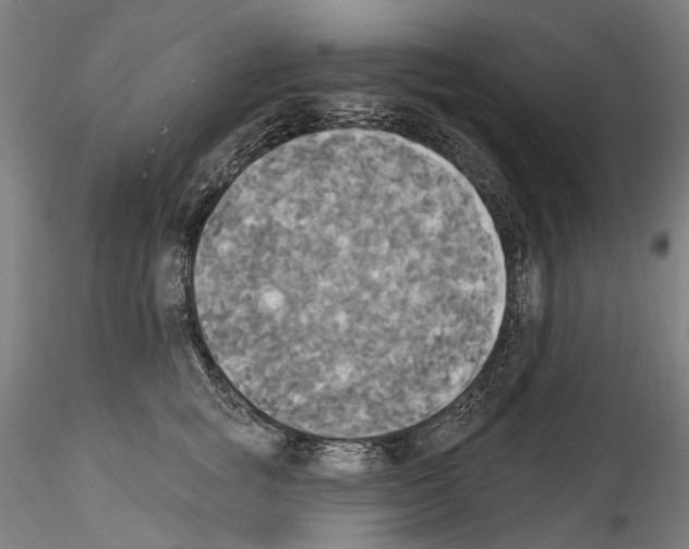 X0000114550757200911301224
