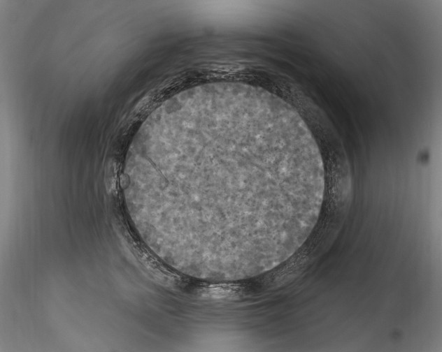 X0000114550758200911301224