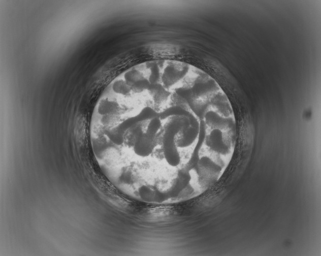 X0000114550761200911301224