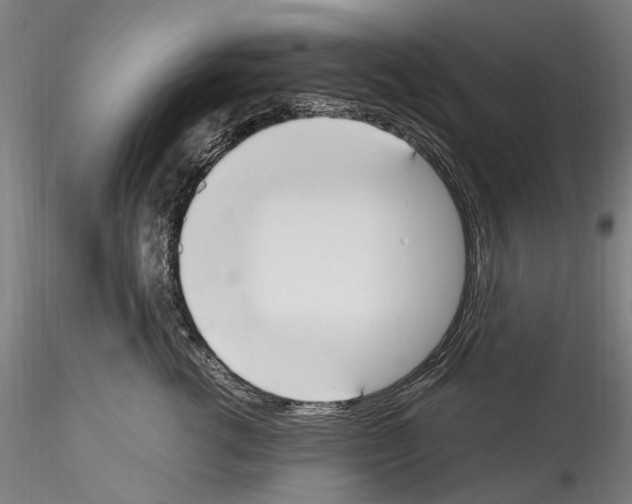 X0000114550762200911301224