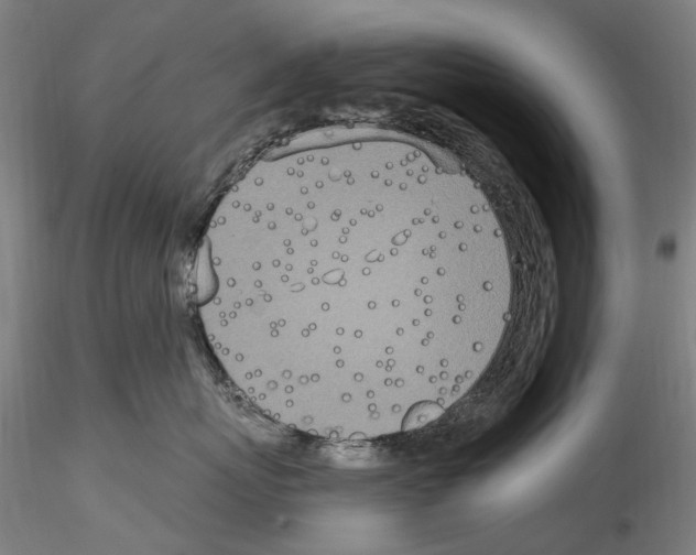 X0000114550767200911301224