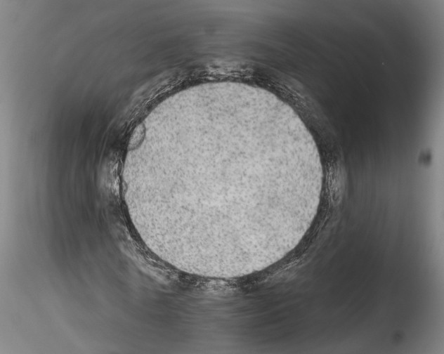 X0000114550770200911301224