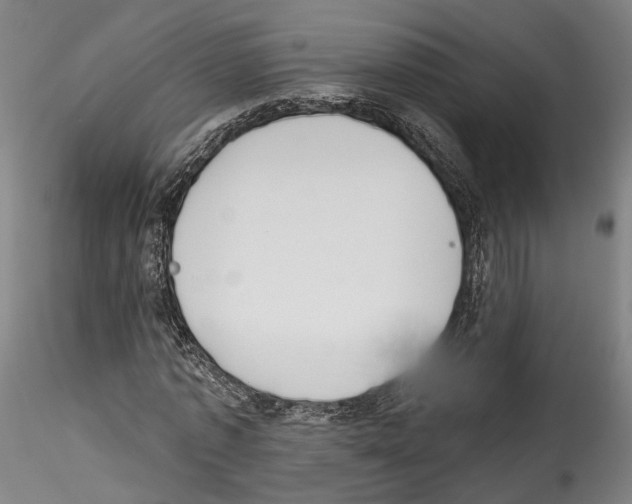 X0000114550773200911301223