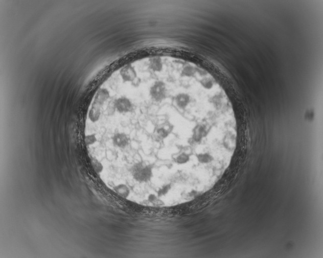 X0000114550775200911301223