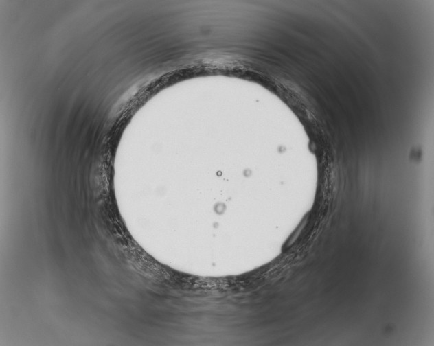 X0000114550776200911301223