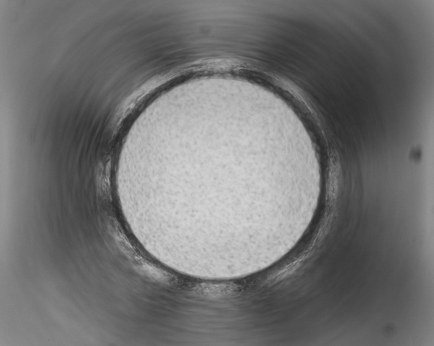 X0000114550778200911301223