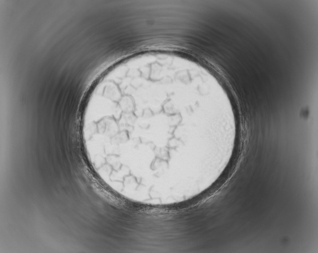 X0000114550779200911301223