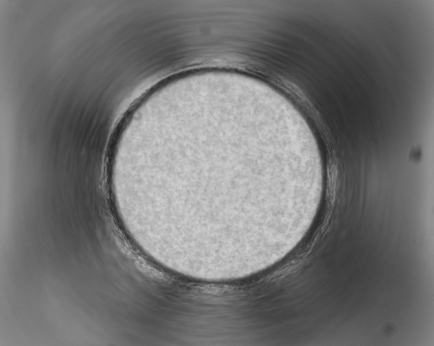 X0000114550780200911301223