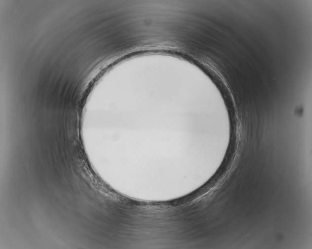 X0000114550781200911301223