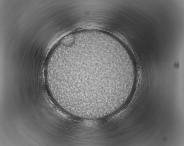 X0000114550782200911301223