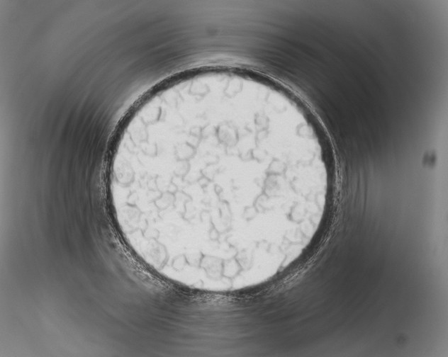 X0000114550783200911301223
