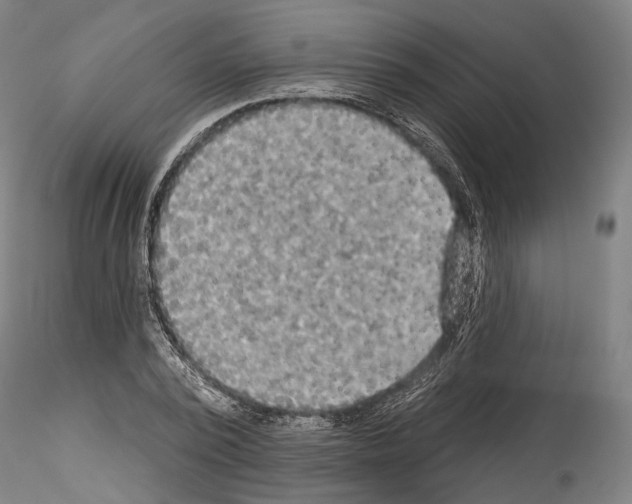 X0000114550784200911301223