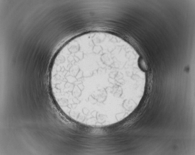 X0000114550787200911301223